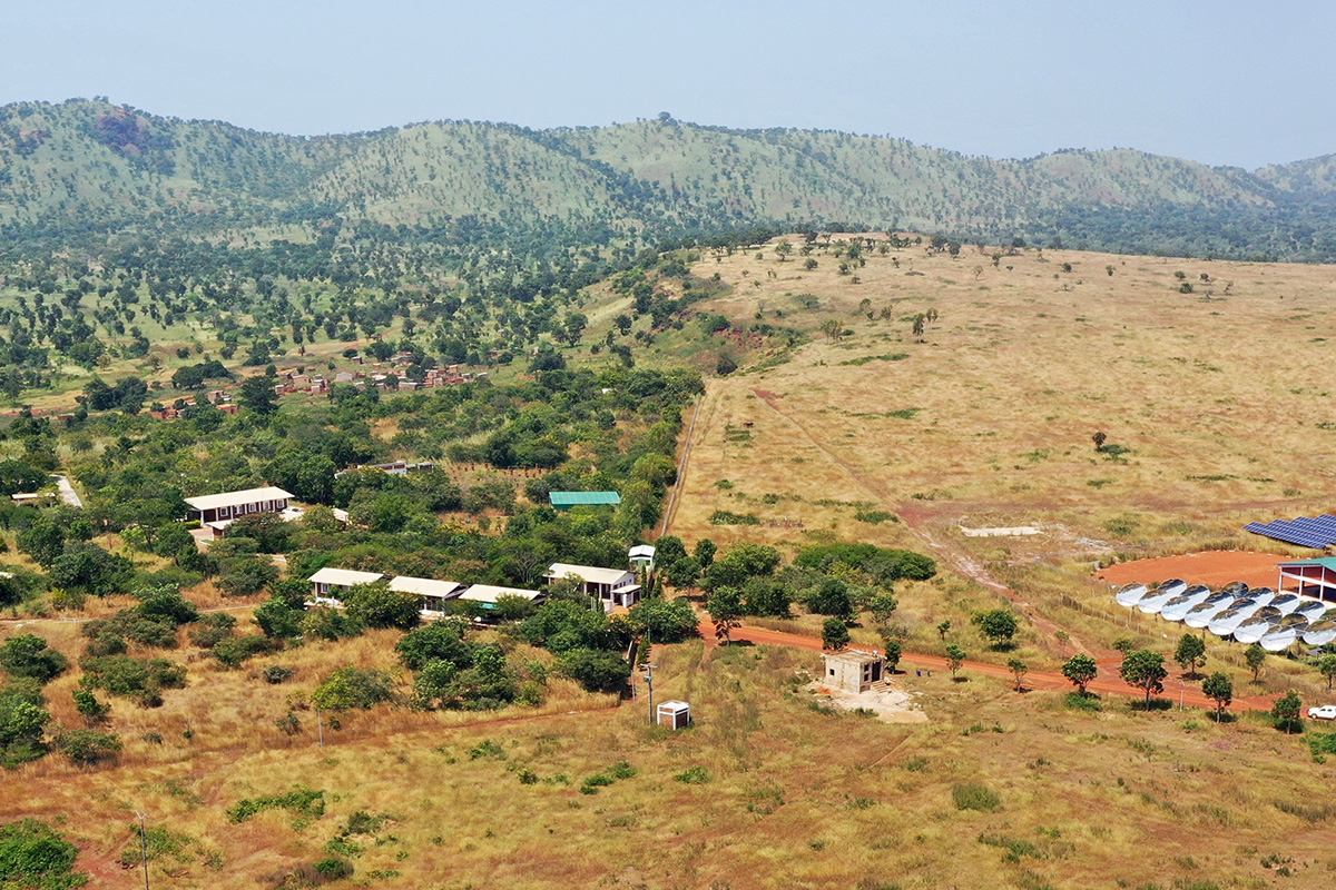 Dano Panorama